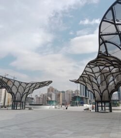 WhatsApp Image 2025-10-16 at 4.40.01 PM