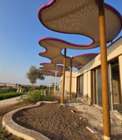 WhatsApp Image 2025-11-29 at 3.53.41 PM (1)